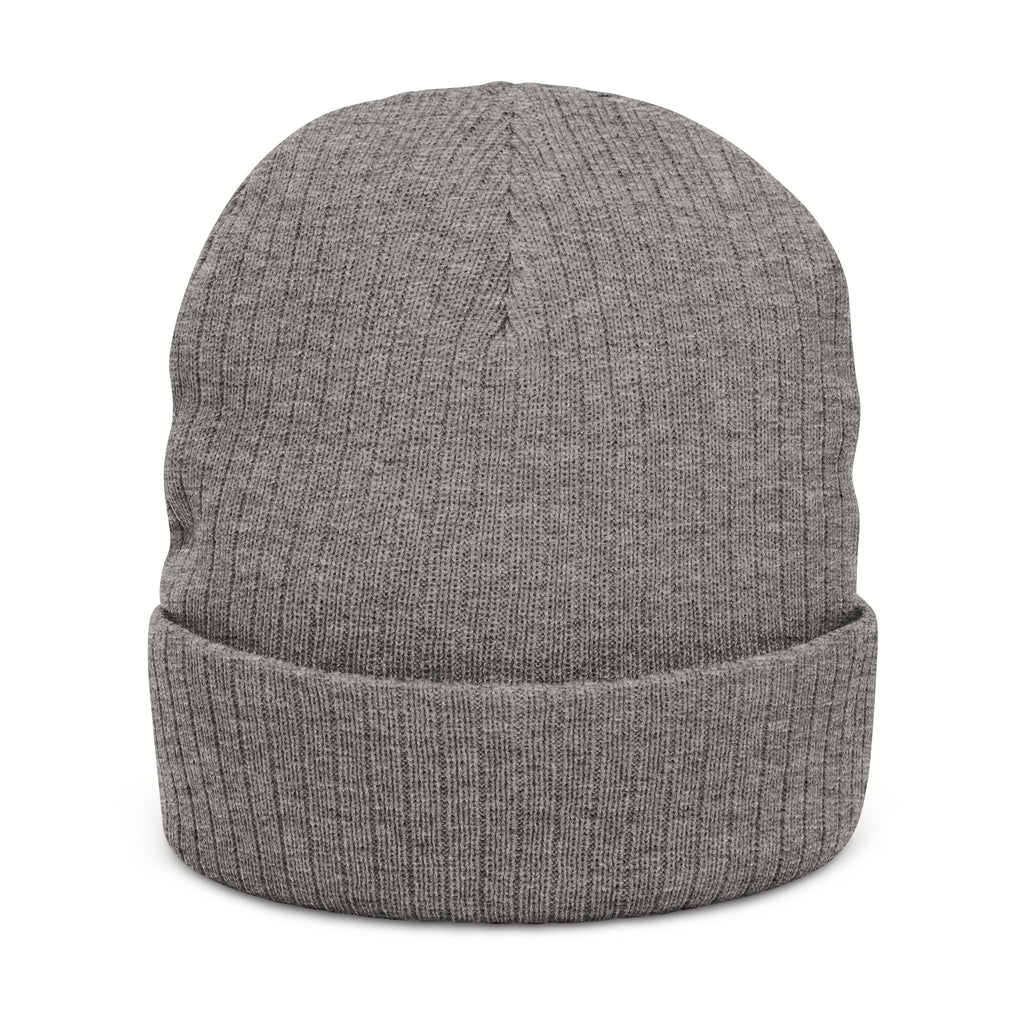 Embroidered 'Healed Scars' Ribbed Knit Beanie