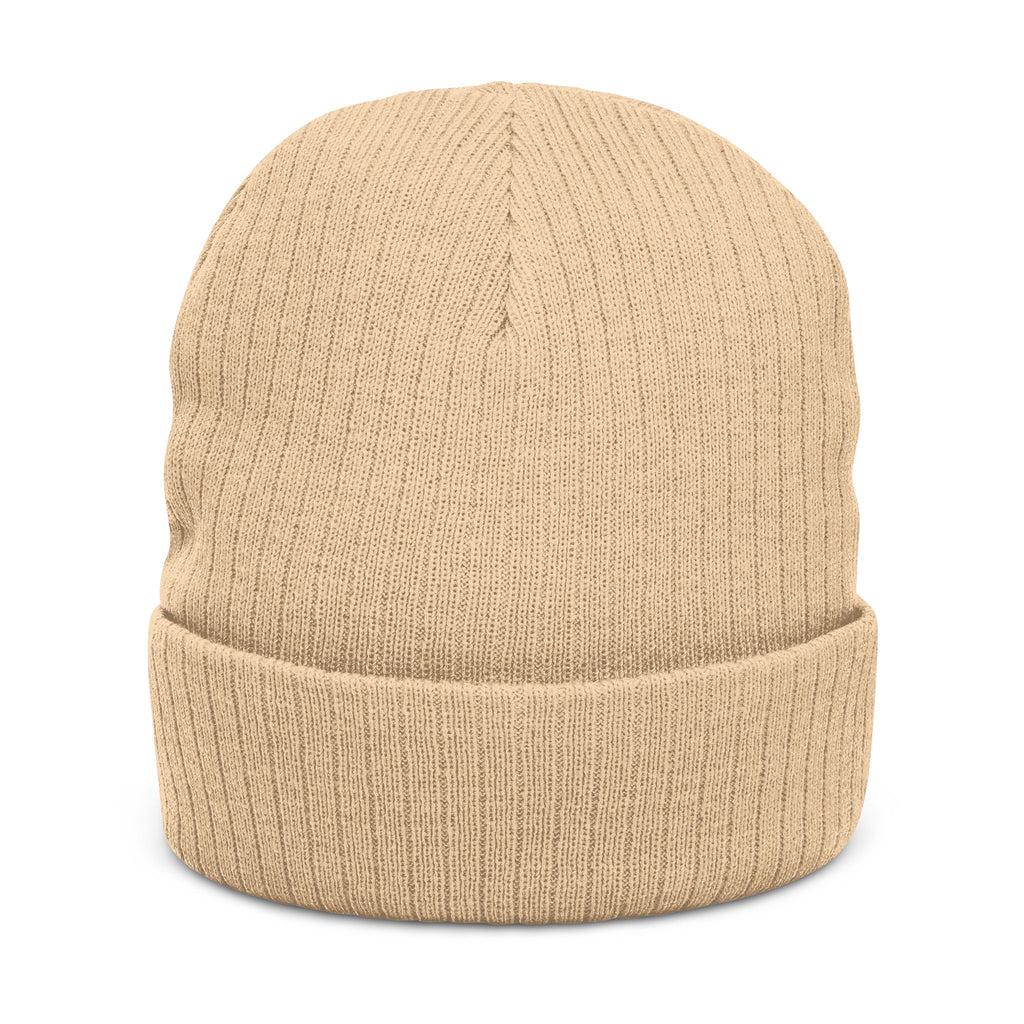 Embroidered 'Healed Scars' Ribbed Knit Beanie
