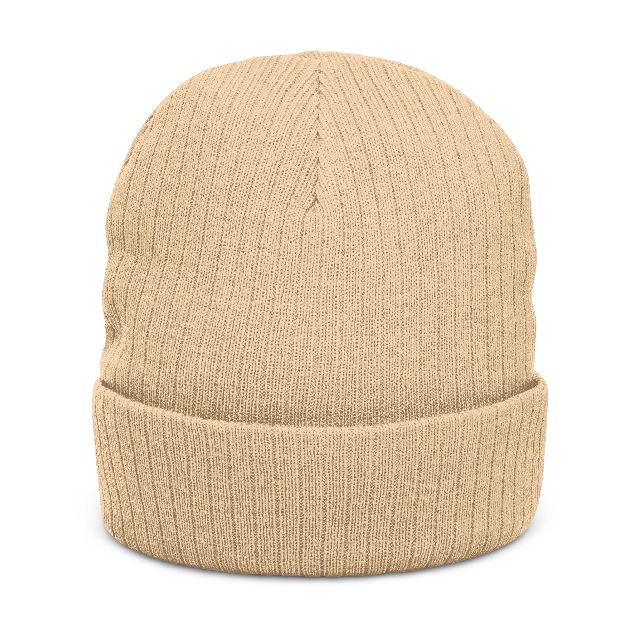 Embroidered 'Healed Scars' Ribbed Knit Beanie