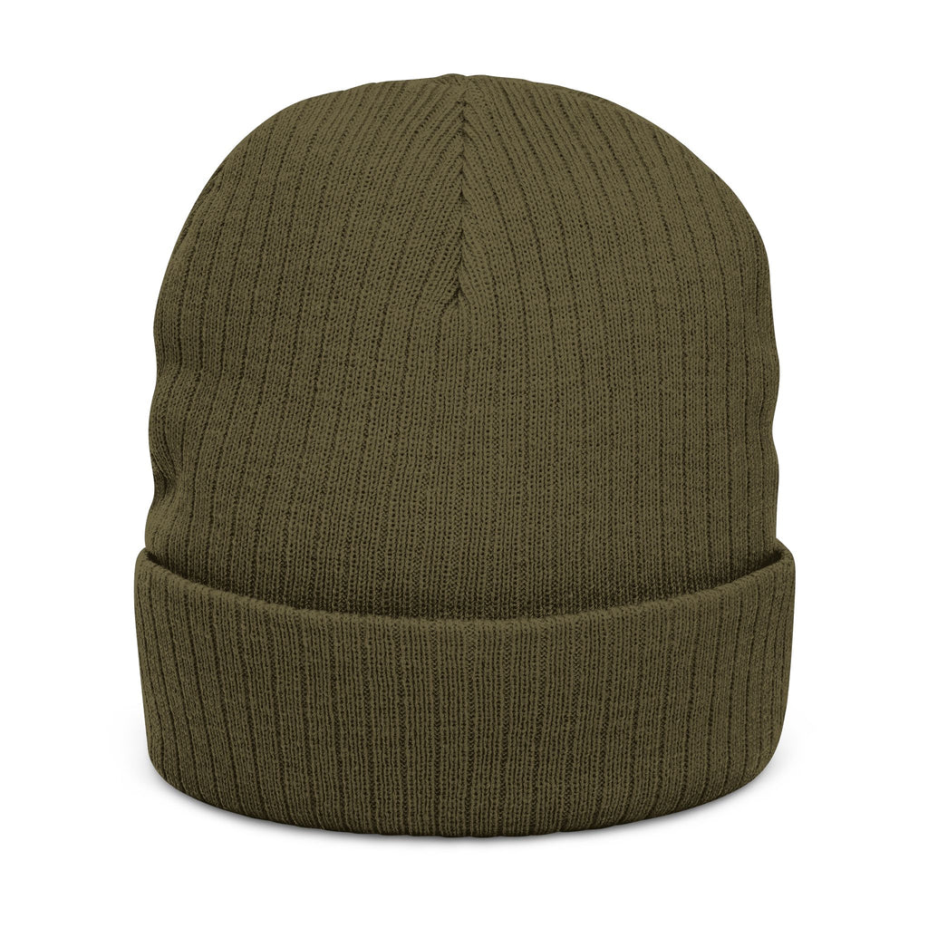 Embroidered 'Healed Scars' Ribbed Knit Beanie