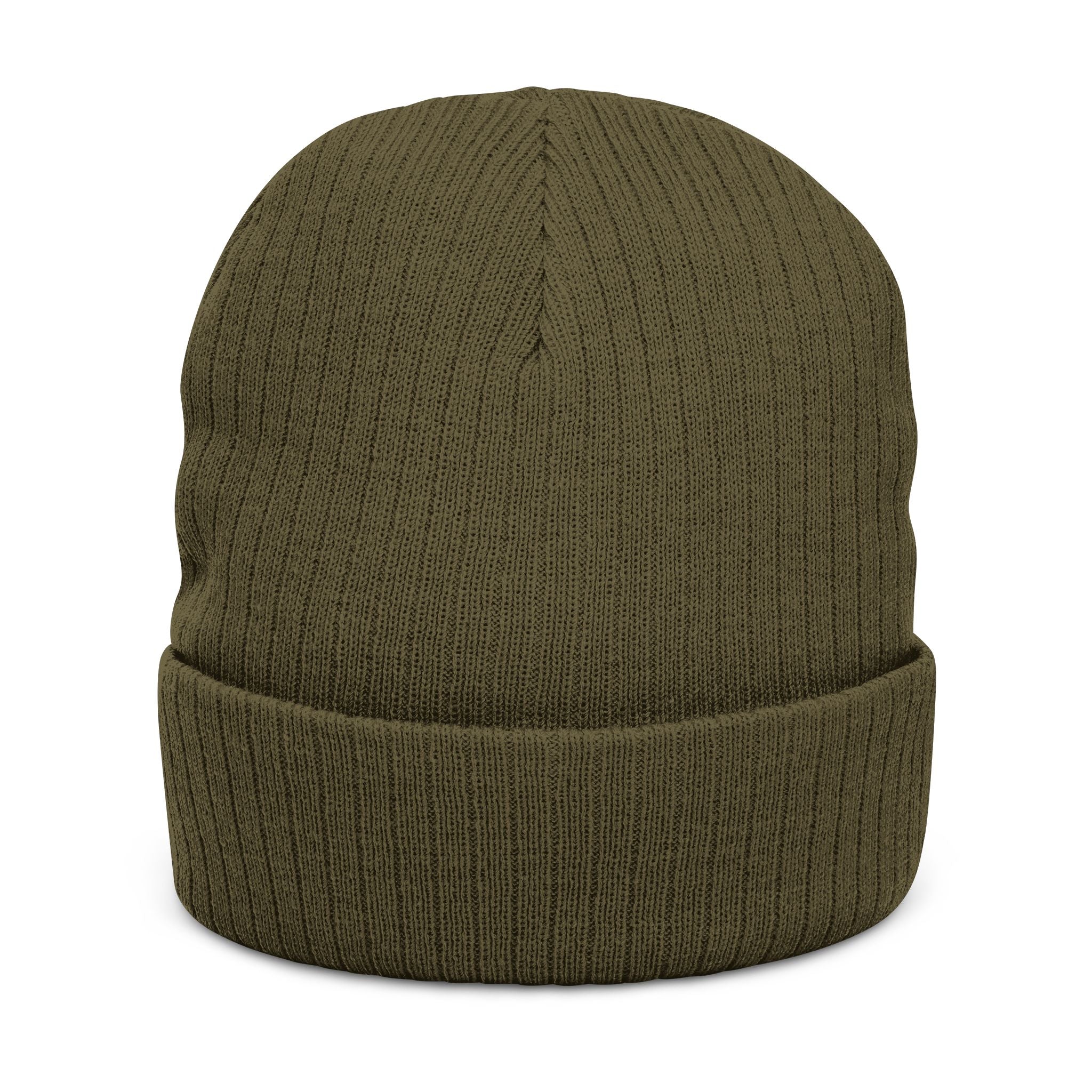 Embroidered 'Healed Scars' Ribbed Knit Beanie