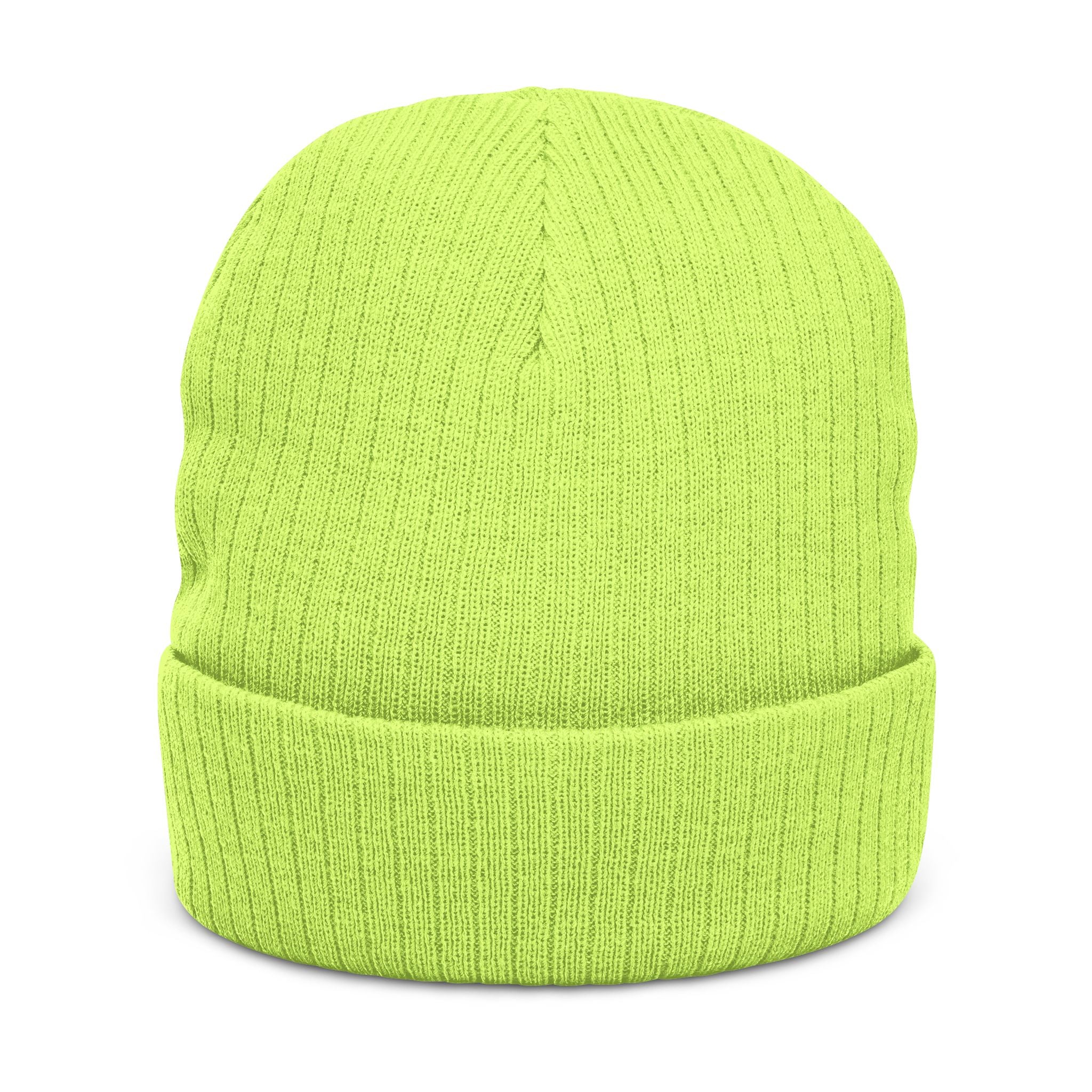Embroidered 'Healed Scars' Ribbed Knit Beanie