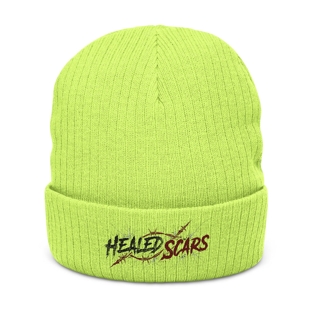 Embroidered 'Healed Scars' Ribbed Knit Beanie