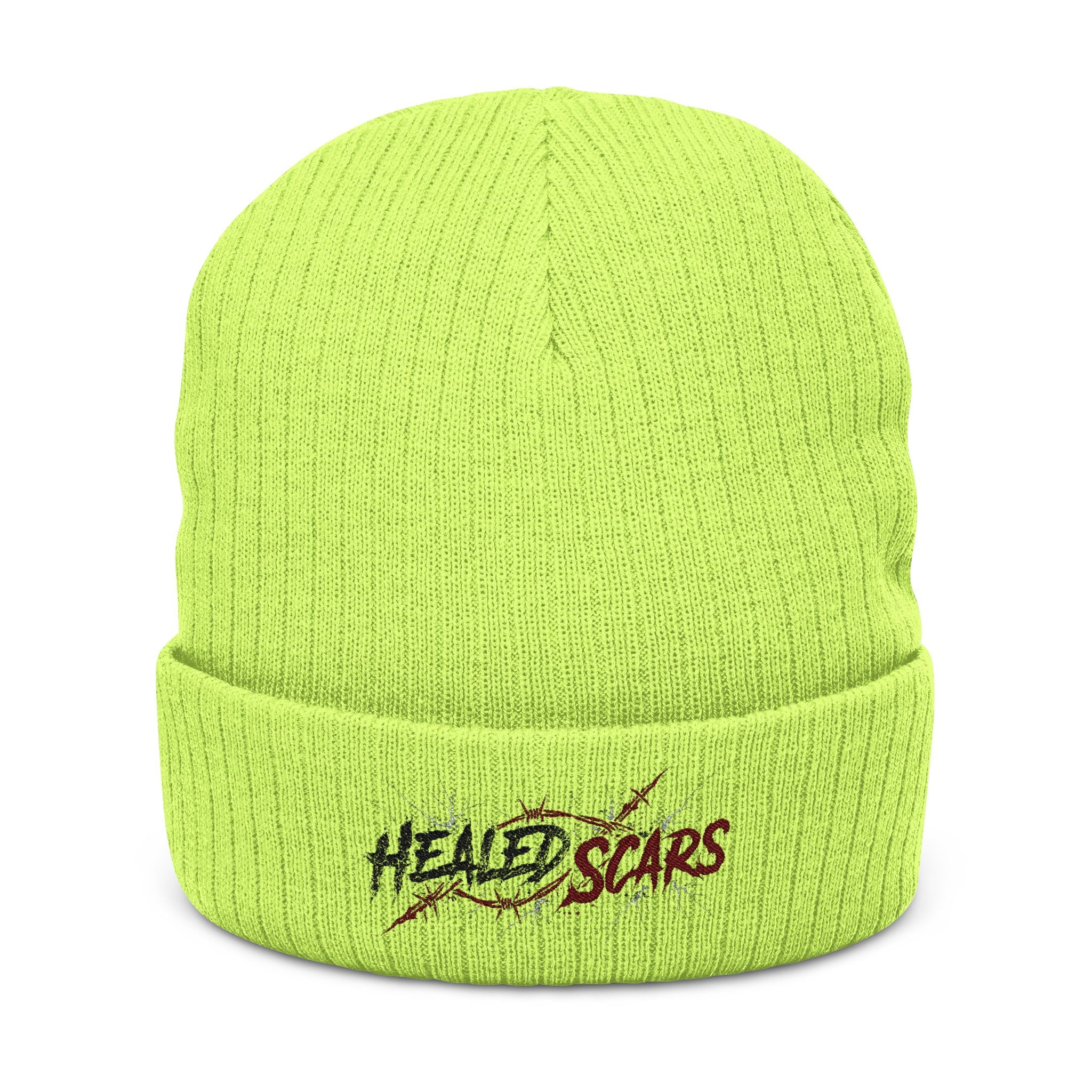 Embroidered 'Healed Scars' Ribbed Knit Beanie