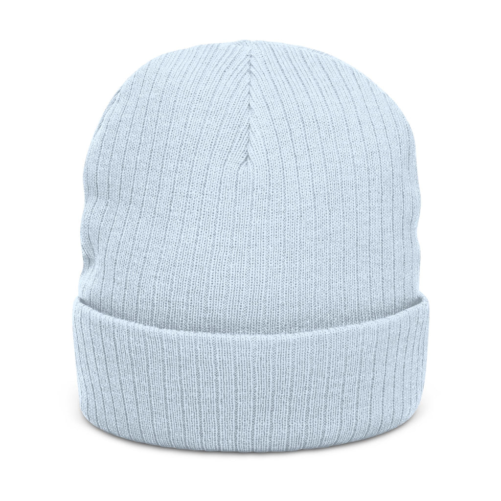 Embroidered 'Healed Scars' Ribbed Knit Beanie