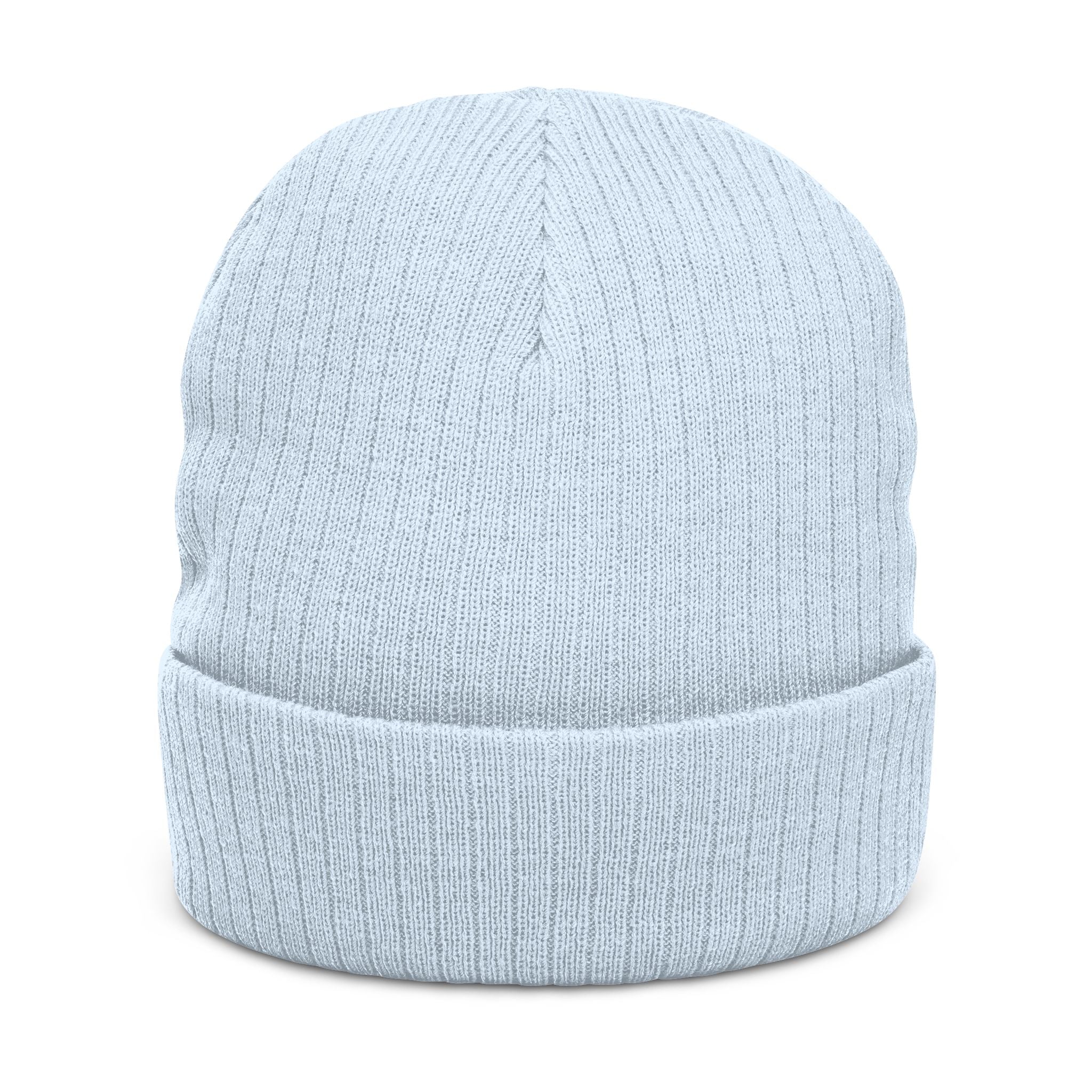 Embroidered 'Healed Scars' Ribbed Knit Beanie